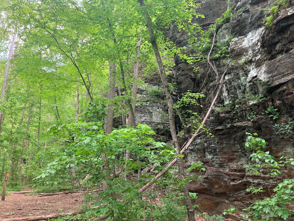 Gadding about in Glasgow (Day 78)