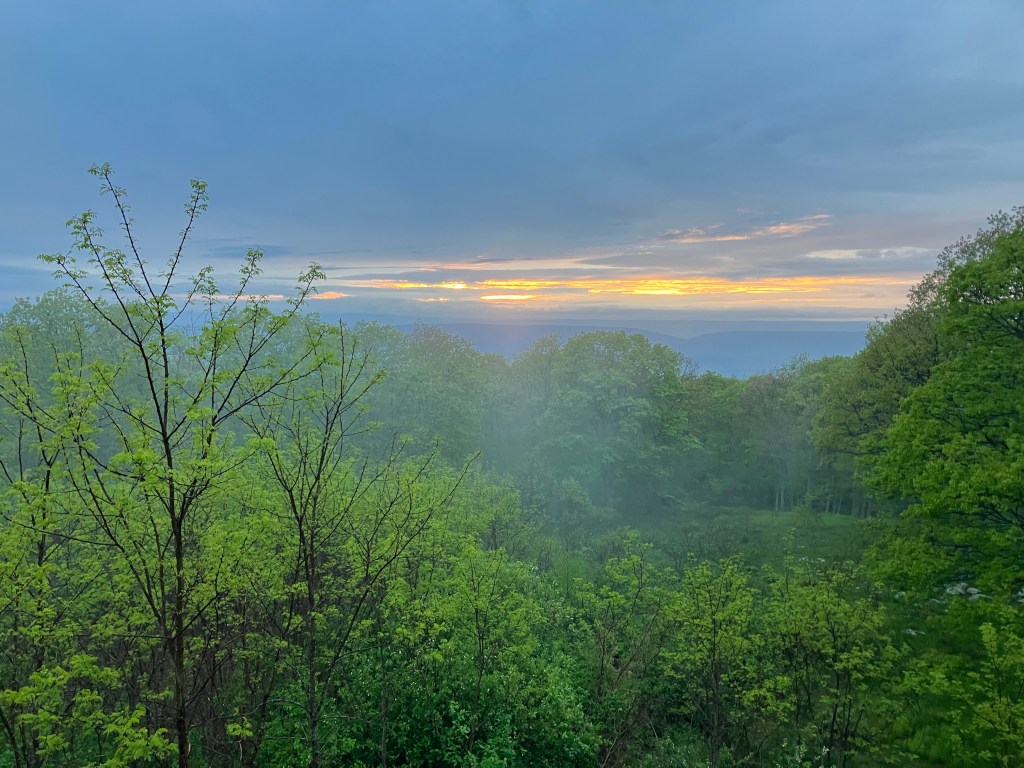 Watching the World Go By (Day 91)