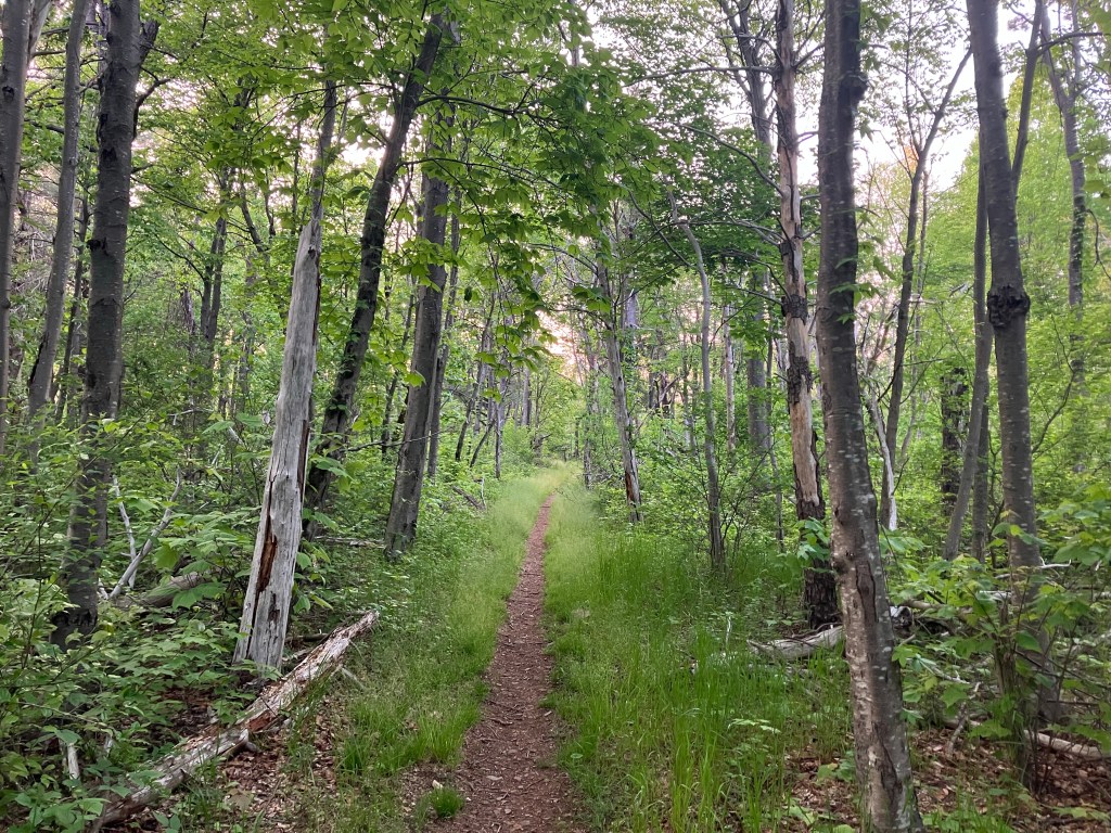 Send the Centipedes Back to Hell (Day&nbsp;92)