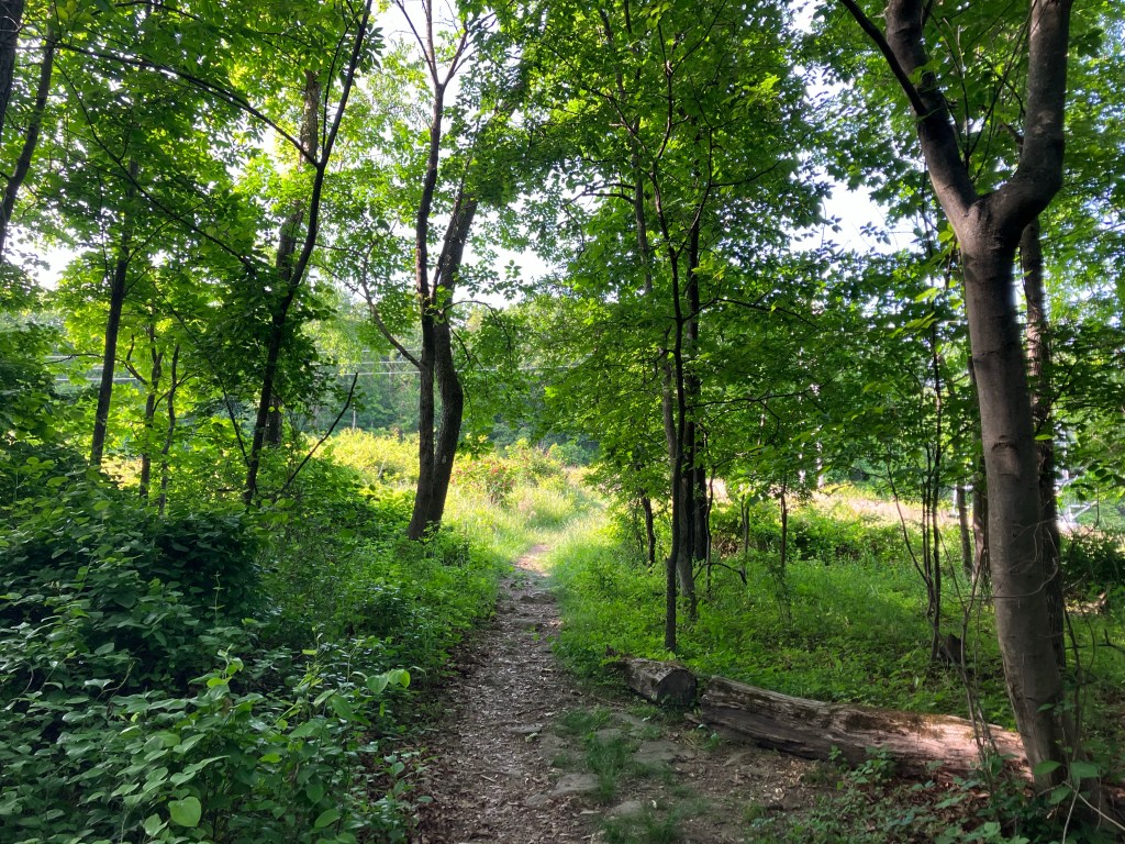 A Secret A.T. Fellowship (Day&nbsp;102)