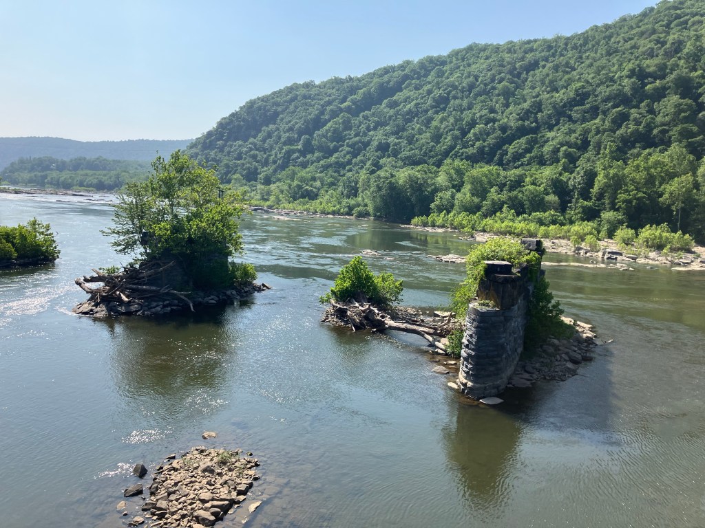 What I Saw Along the Towpath (Day&nbsp;105)