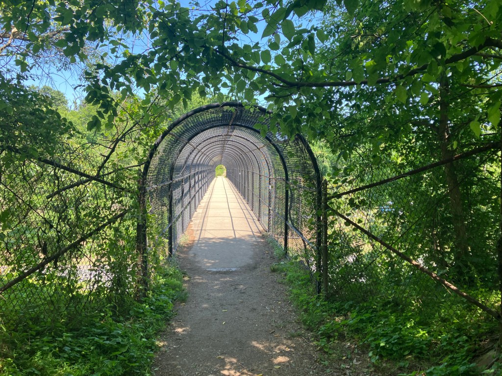 Loud, Boisterous Youth (Day&nbsp;106)