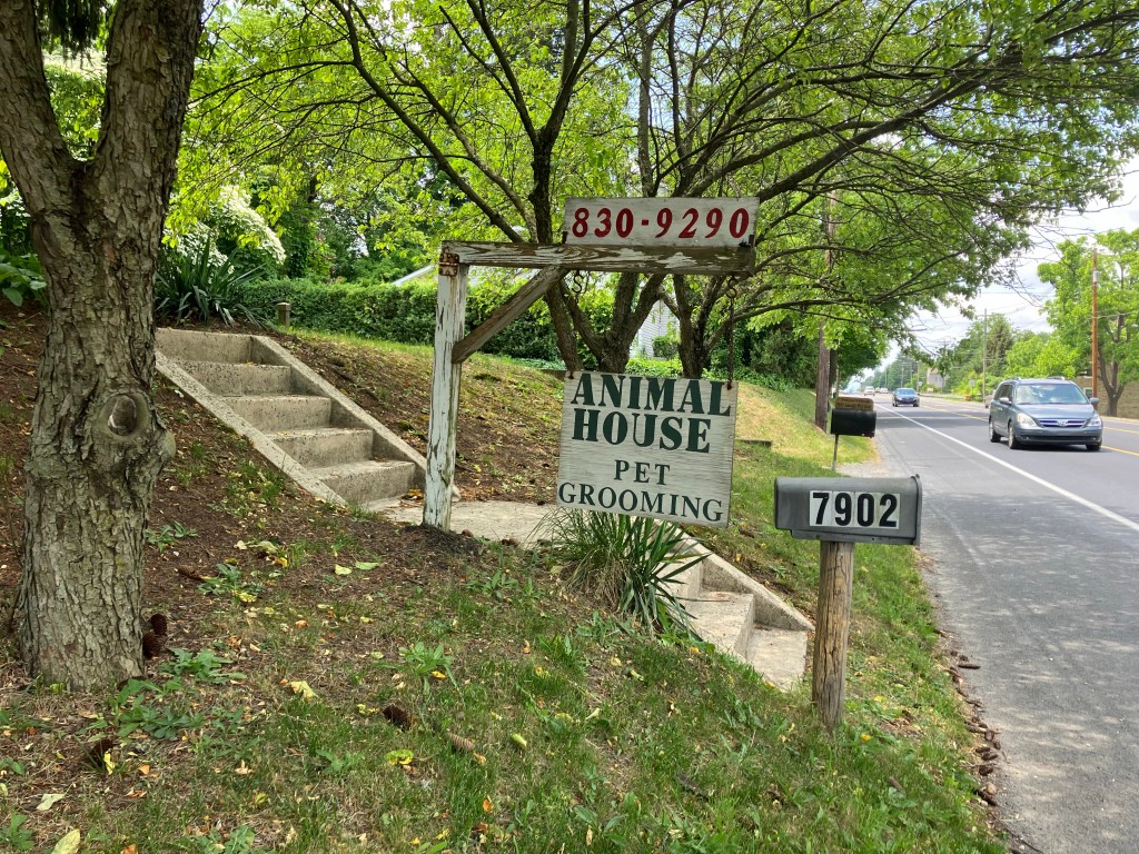 The Fabulously Queer Pentecostal Hostel (Day&nbsp;110)