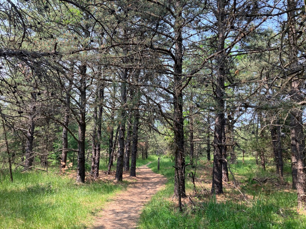 1100 Miles, Halfway Home (Day&nbsp;111)