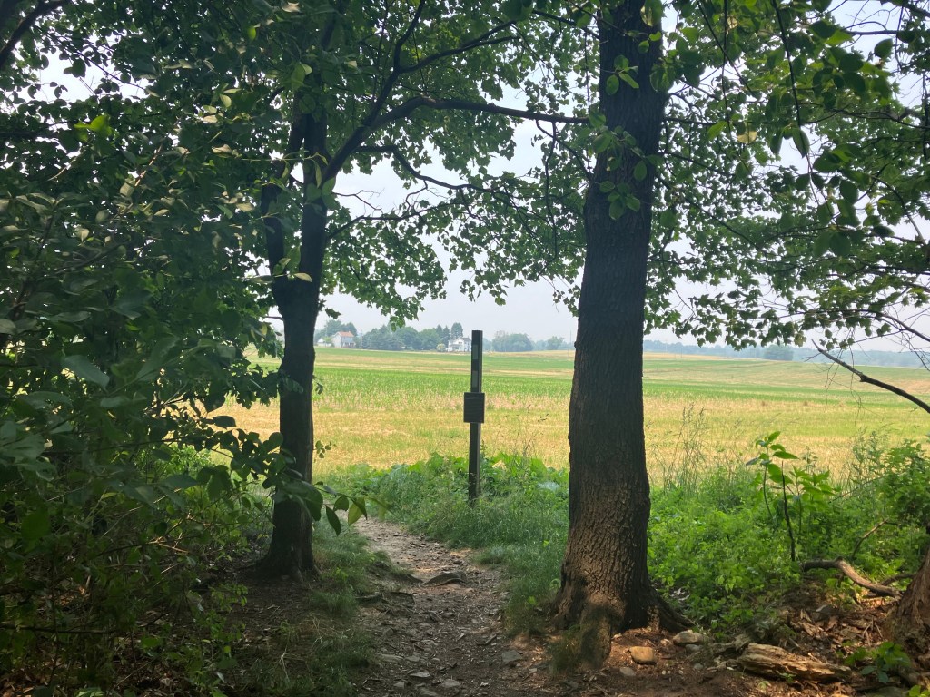 In Dreams Begin Responsibilities (Day&nbsp;113)