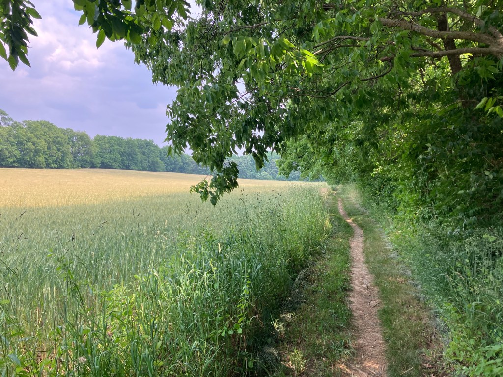 In a Different Light (Day&nbsp;114)