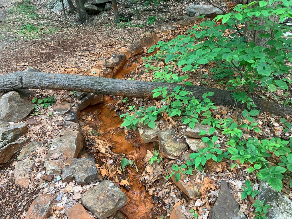 Irony Spring (Day&nbsp;117)