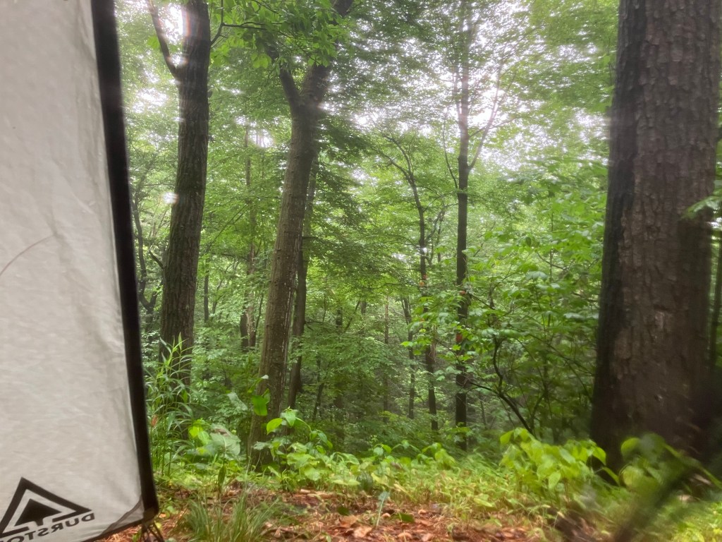 A Tent in the Storm (Day&nbsp;118)