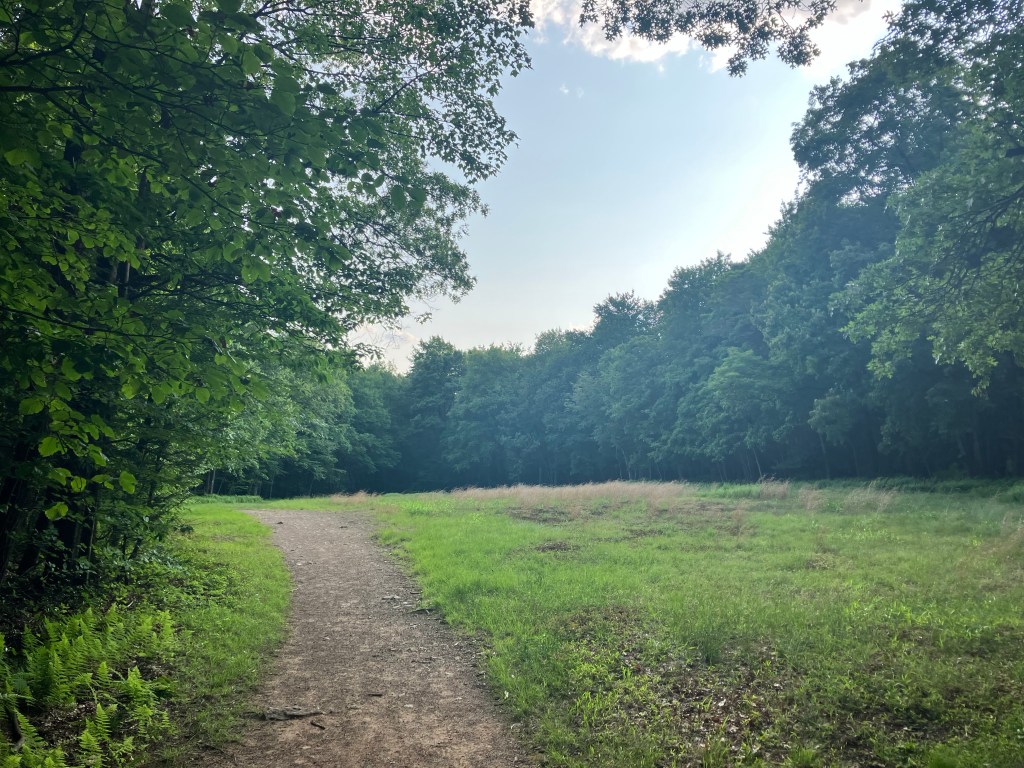 A Breezy Afternoon (Day&nbsp;123)