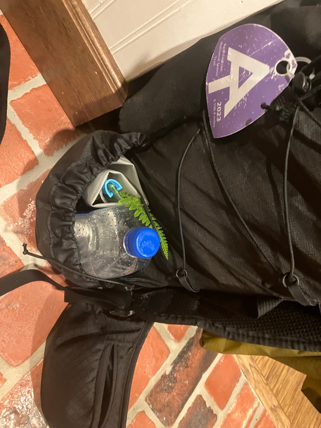 Stormlight (Day 127)