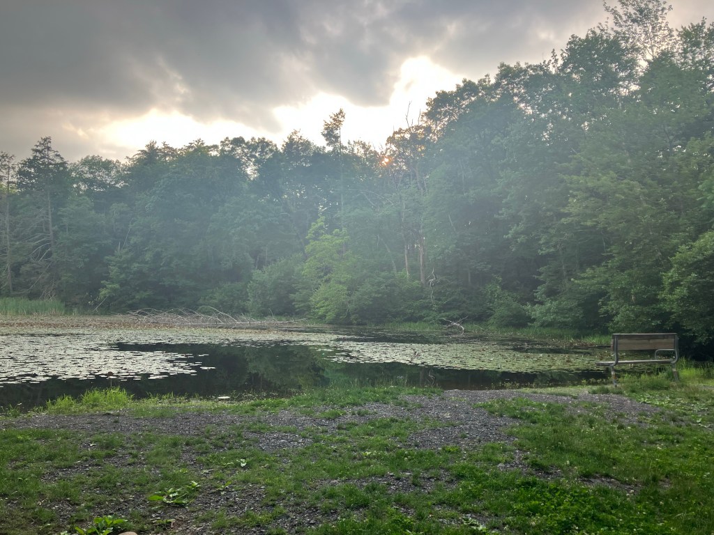 Last Day in Rocksylvania (Day&nbsp;130)