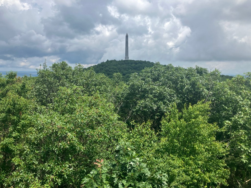 Whatever the Opposite of Being Ambushed by the Viet Cong Is (Day&nbsp;136)