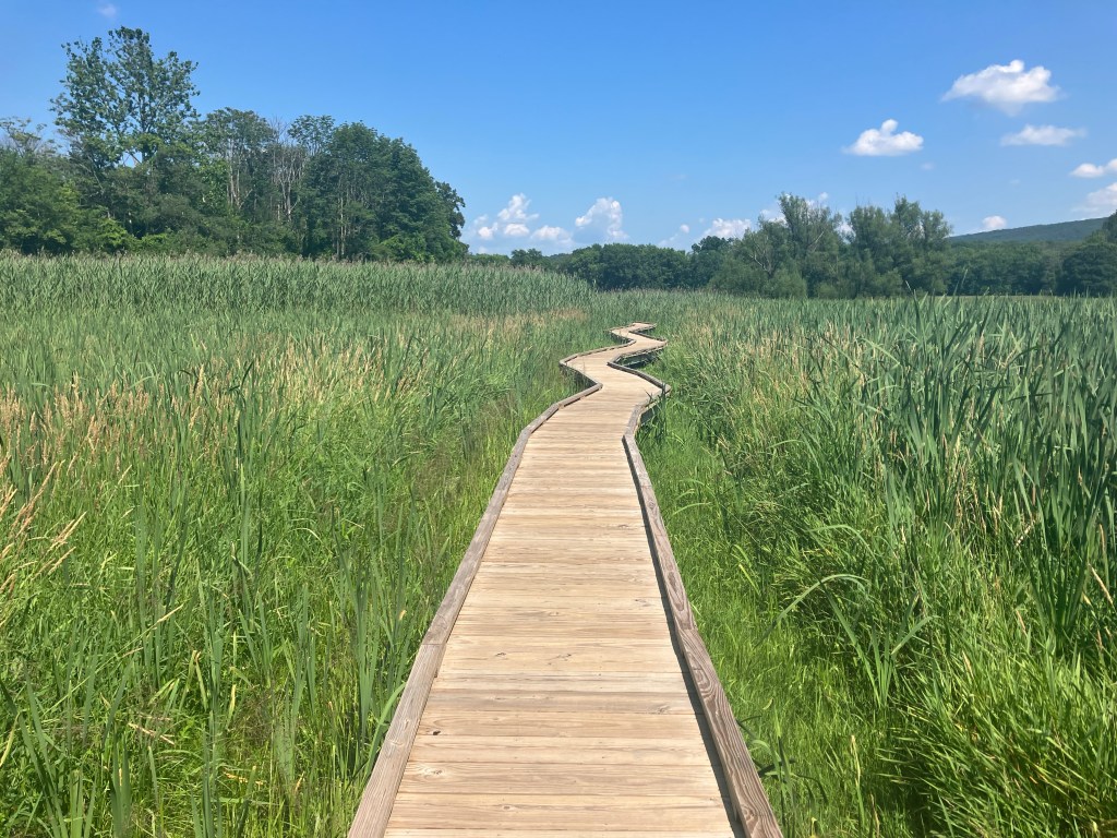 Humidity to Make the Sanest Man Go Mad (Day&nbsp;137)