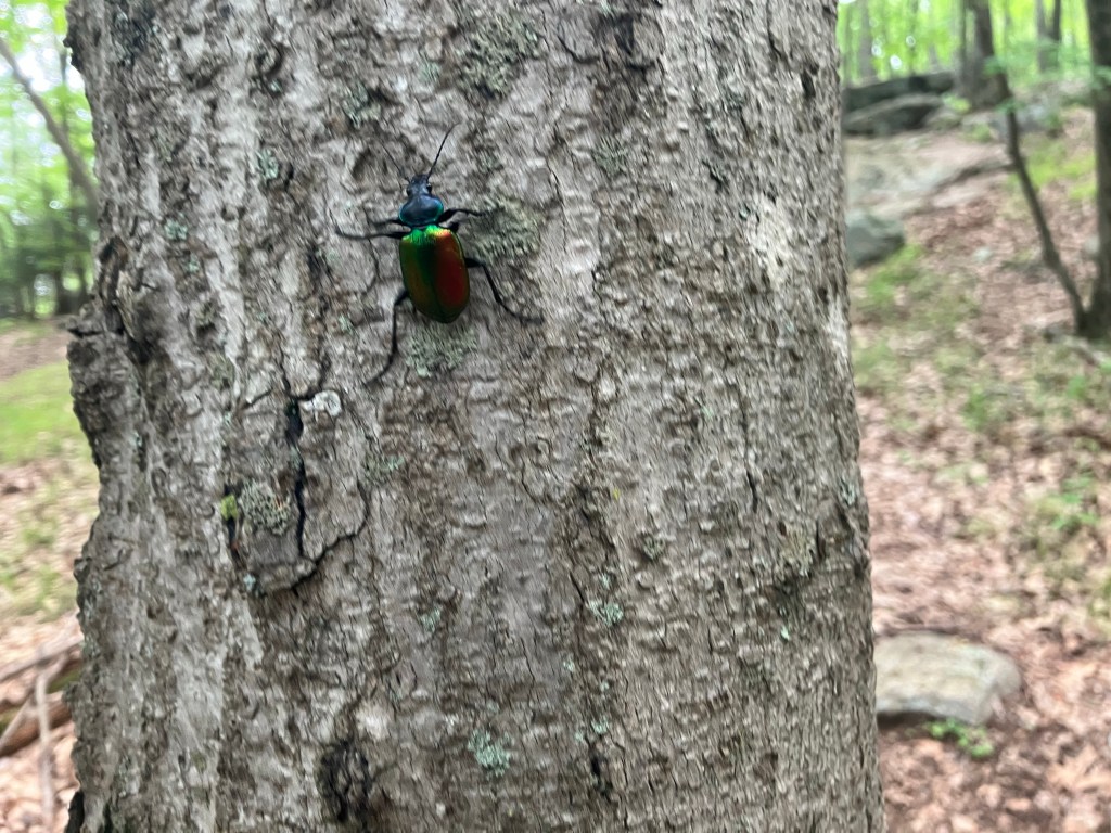 The Chairman (Day&nbsp;139)