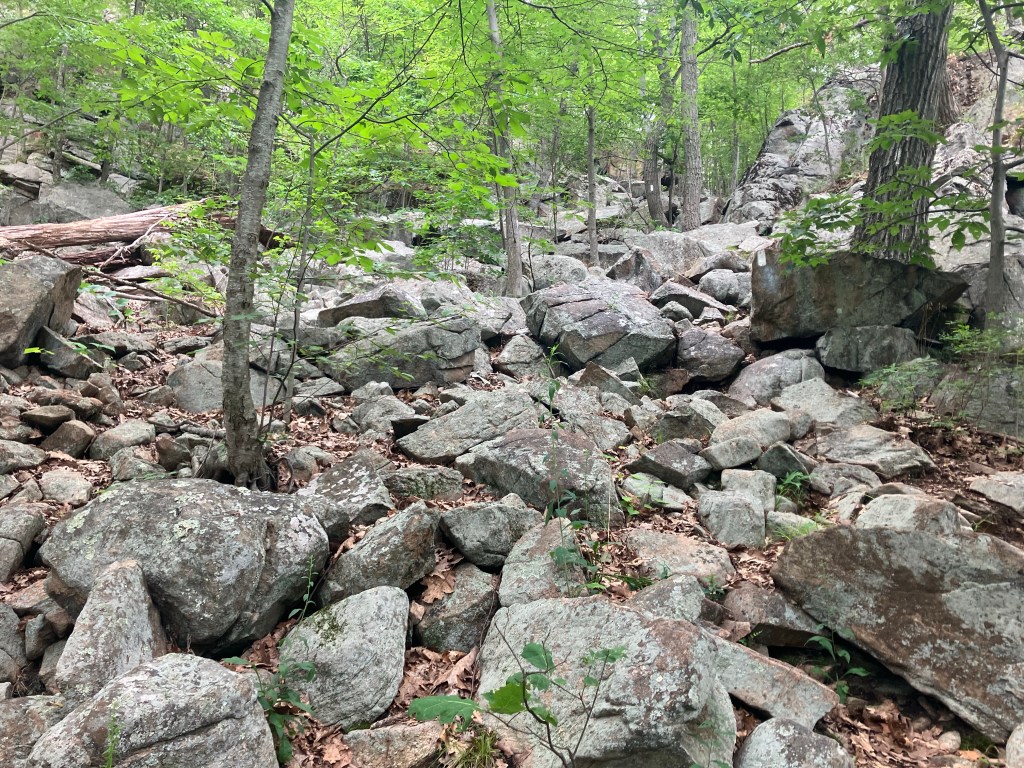 The Mothman Non-Prophecies (Day&nbsp;140)