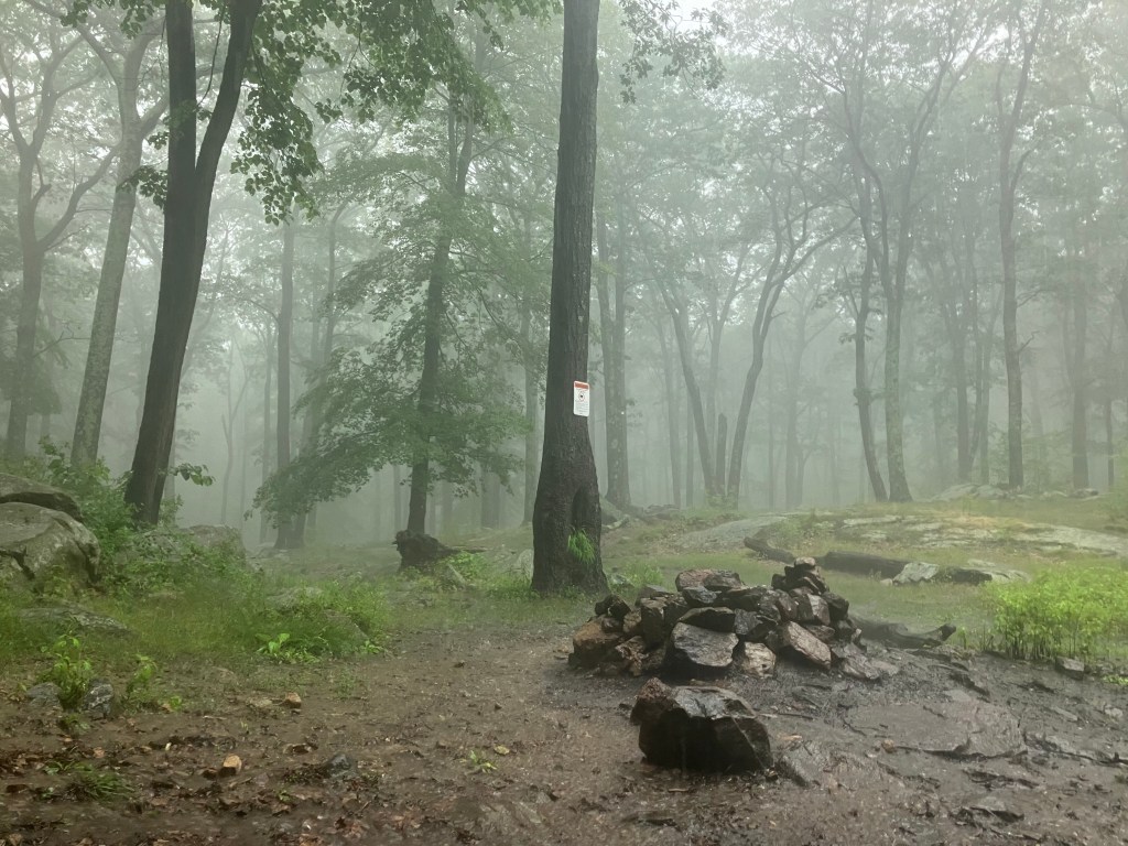 After the Storm (Day&nbsp;141)