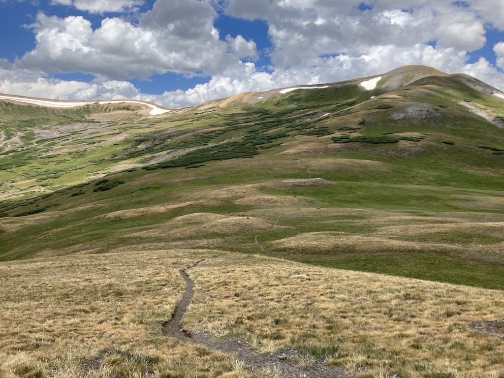 Dispatches from Marmot Heaven (Day&nbsp;149)